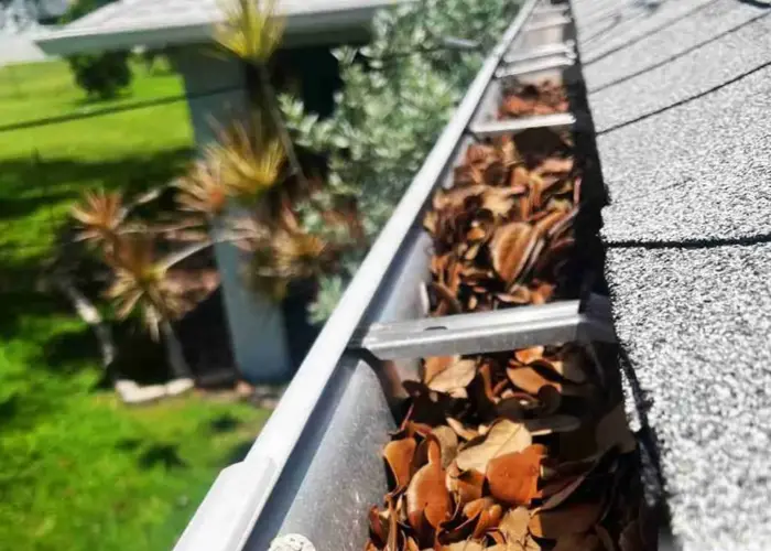 Biltmore Forest gutter cleaning home page